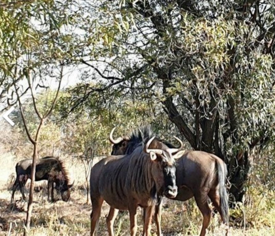 4 Bedroom Property for Sale in Hartbeespoort Rural North West